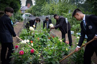 Burnage academy for boys 42